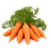 Carrot (Gajar)