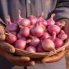 Onion Small (Pyaaz Choti)