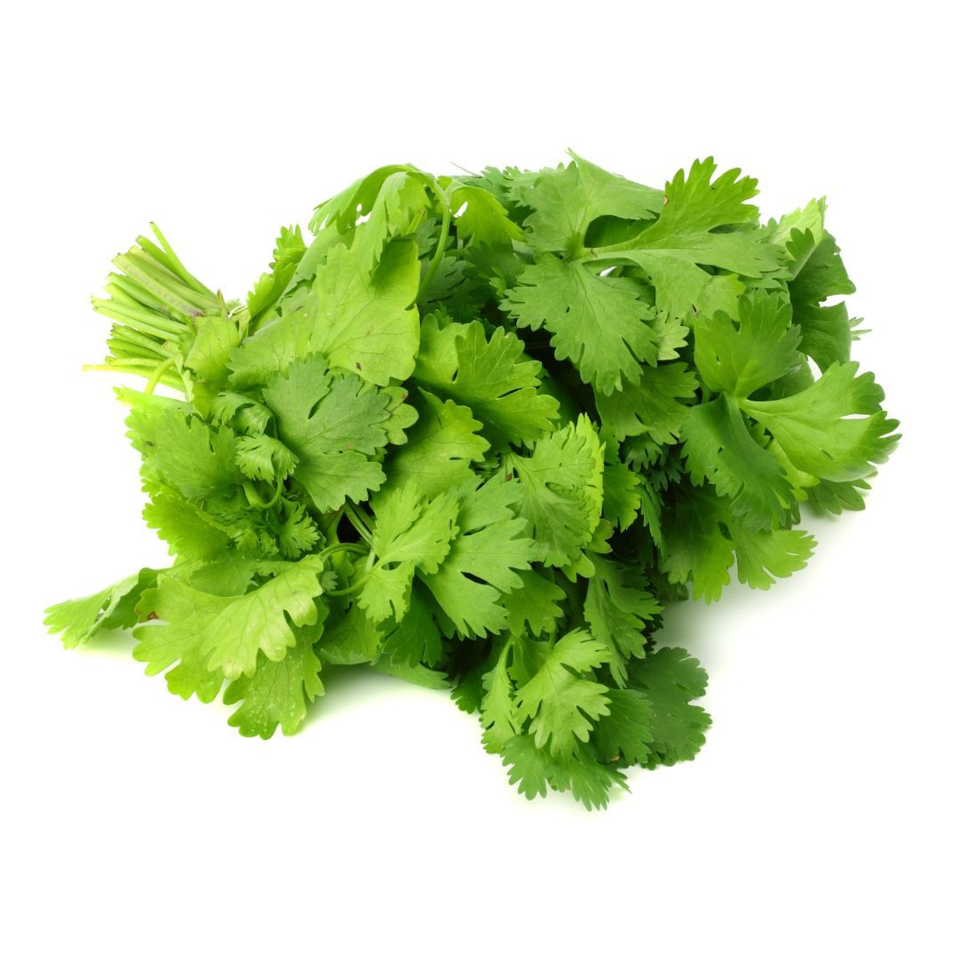 Dhania (Coriander Leaves) - RoadMandi