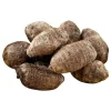 Colocasia