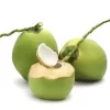 Coconut Tender