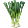 Onion Green (Hari Piyaz)