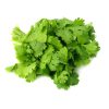 Coriander Leaves(Dhaniya)