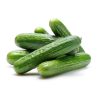 Cucumber (Kheera)