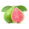 Guava