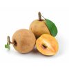 Sapota