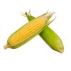 Corn